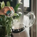 Hellblaue Sprühflasche besprüht Bohnen im offenen Trichter einer weißen Kaffeemühle, im Hintergrund eine Pflanze